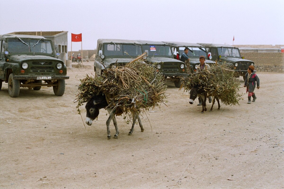 *** - Сергей Золотавин