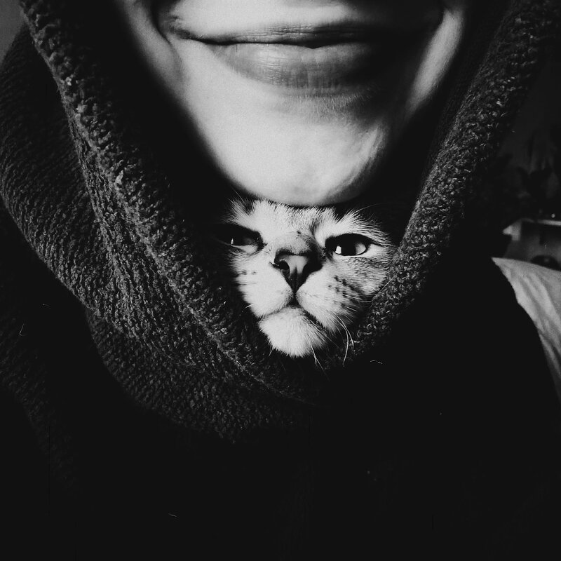 *** - Евгений Нодвиков