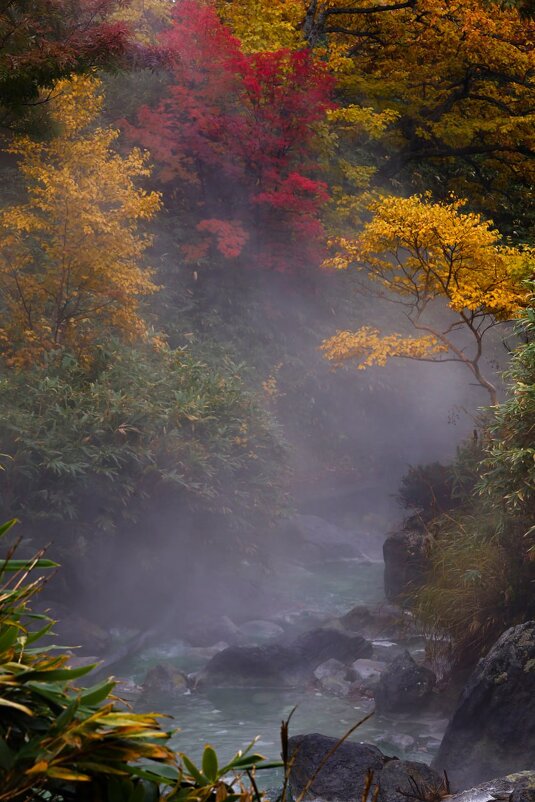 Кипящая река - Ксения N