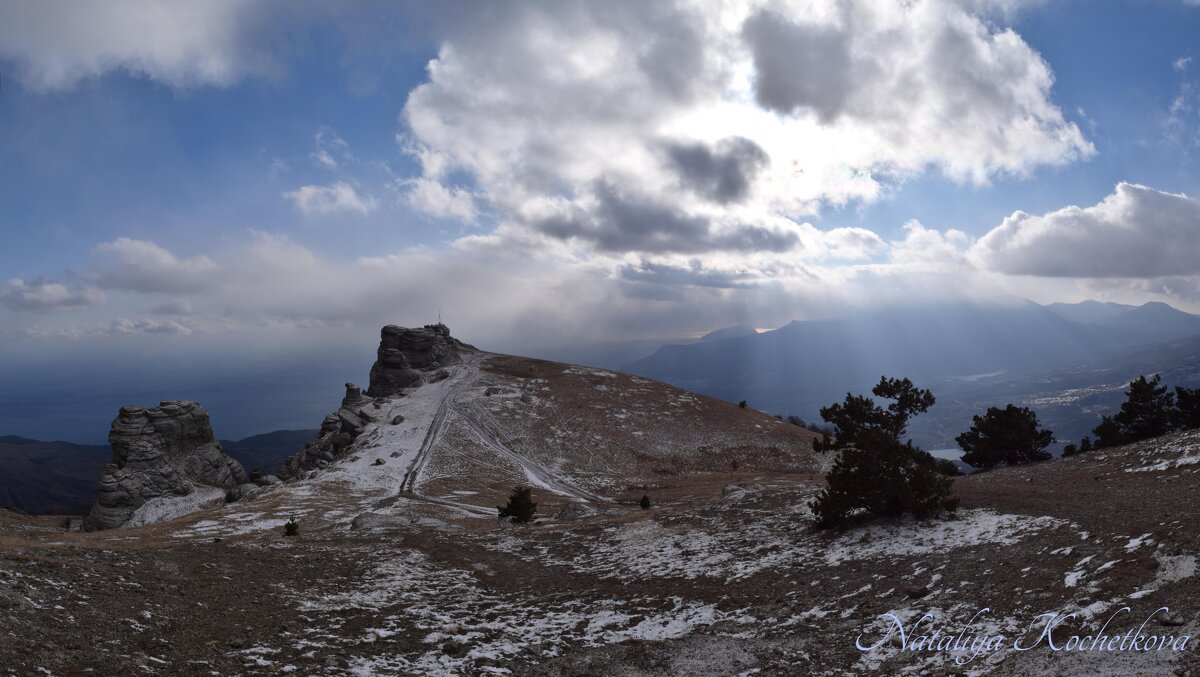 Природа Крыма - Amazing Cosmea