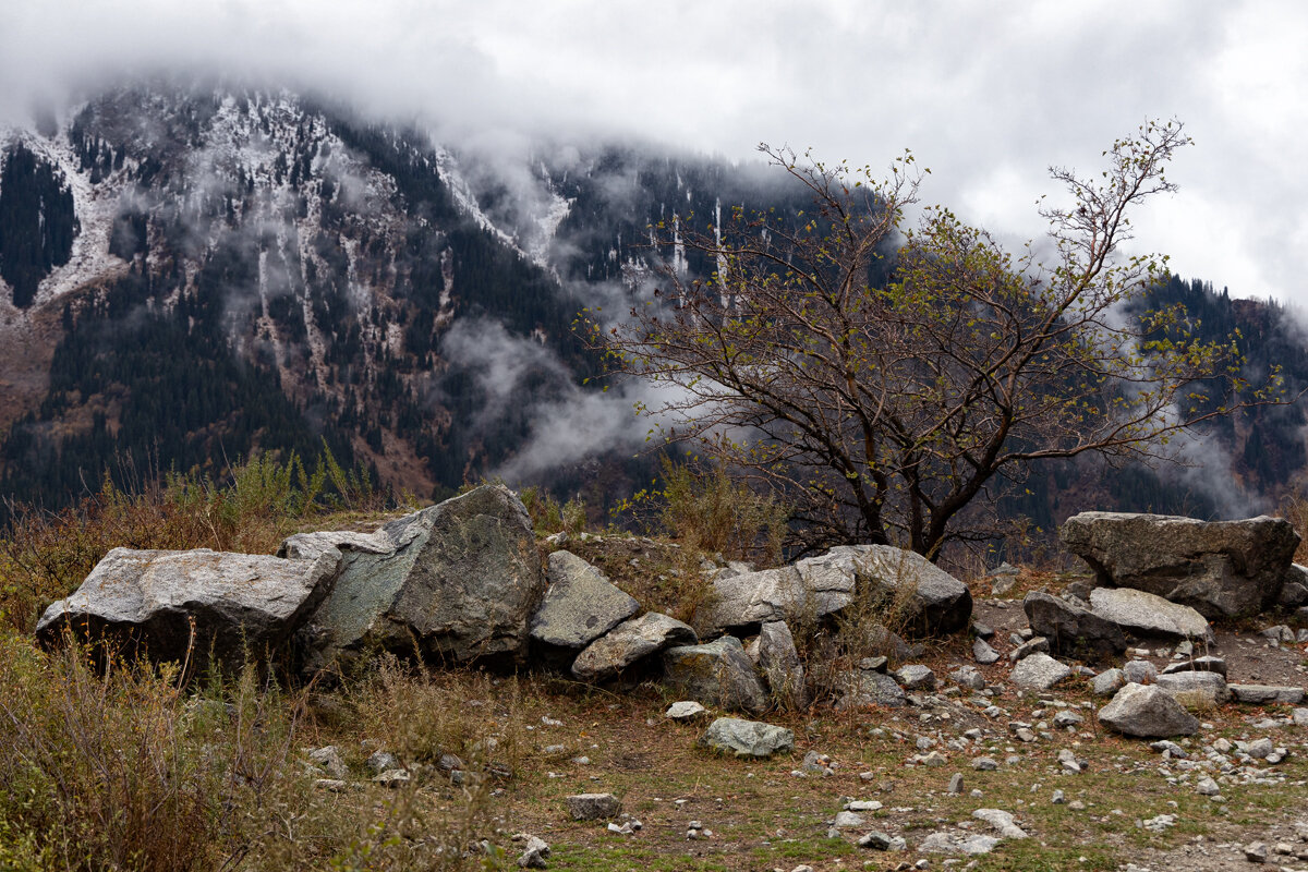 Моменты осени - Алексей Большаков