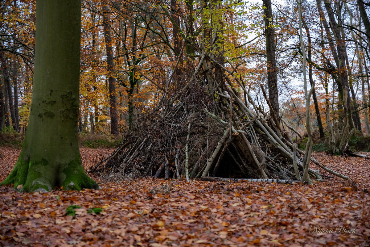 У шалаша... - Николай Гирш