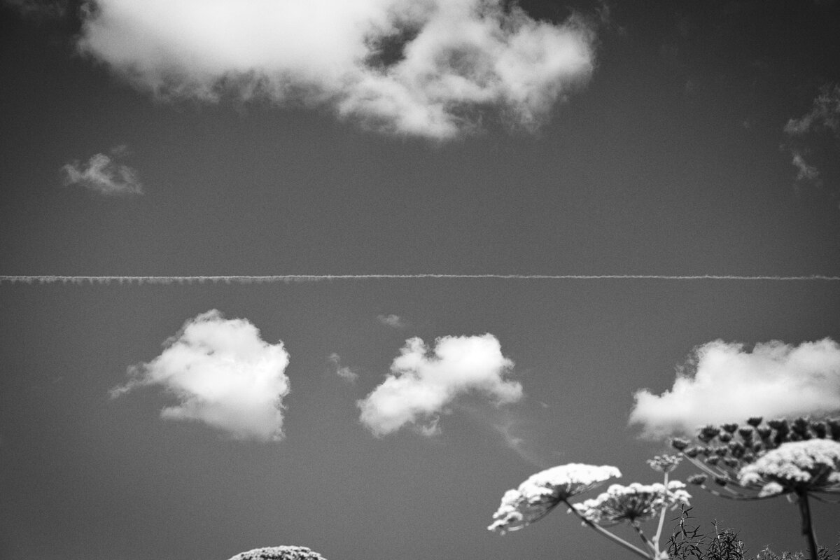 Фотография - Денис Безногов