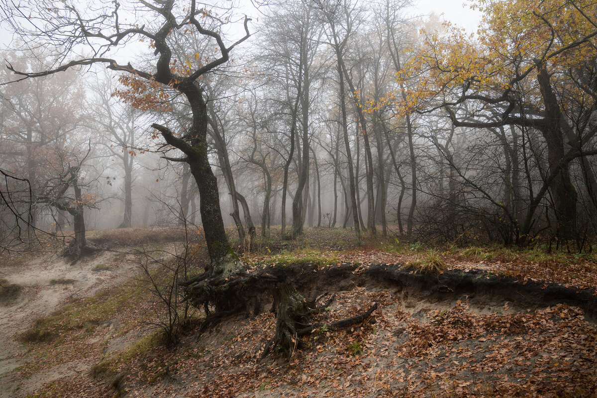 На краю - Валерий VRN