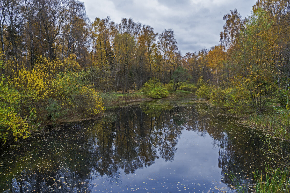 Ботанический сад. Октябрь. - Сергей Фомичев