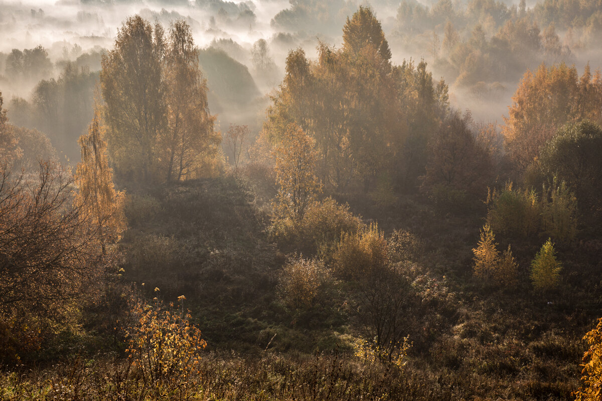 Сходненская чаша - Елена 