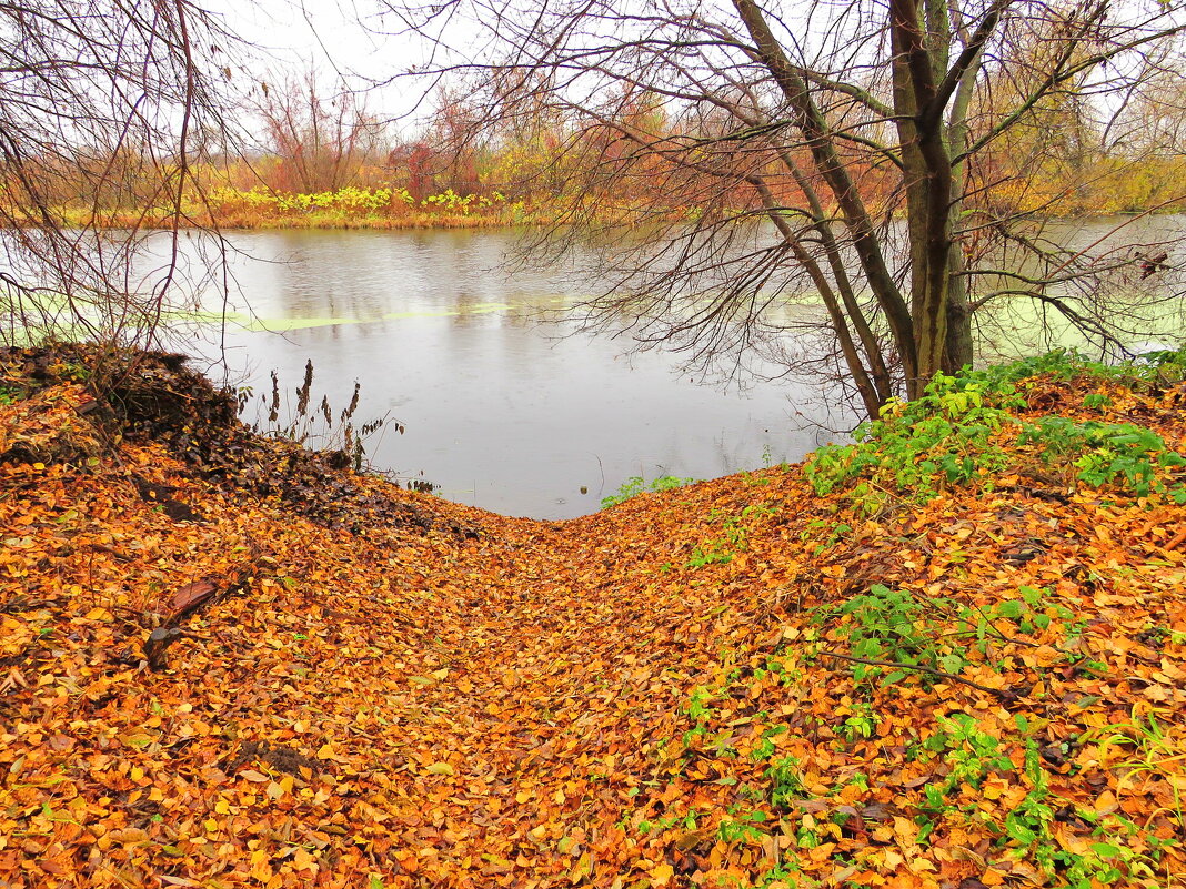 Подход к реке - Андрей Снегерёв