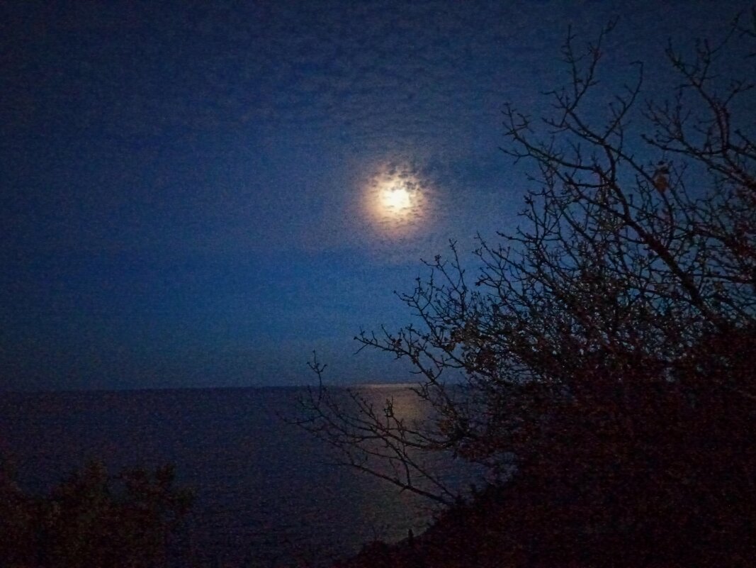 Полнолуние. Крым. - Галина 