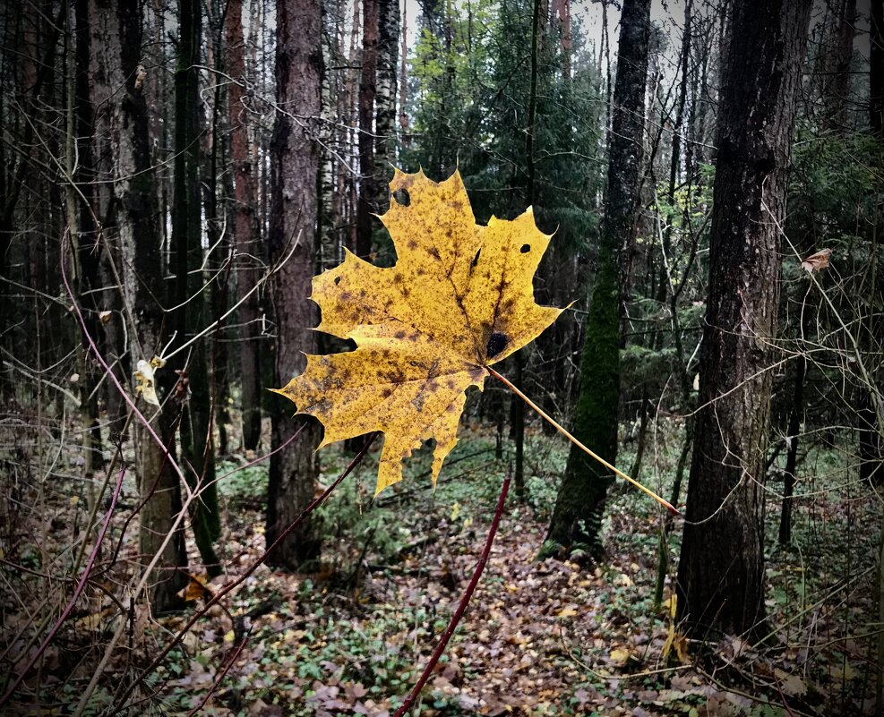 Между небом и землей - Любовь 