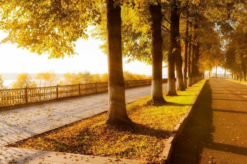 Осень. - Михаил Свиденцов