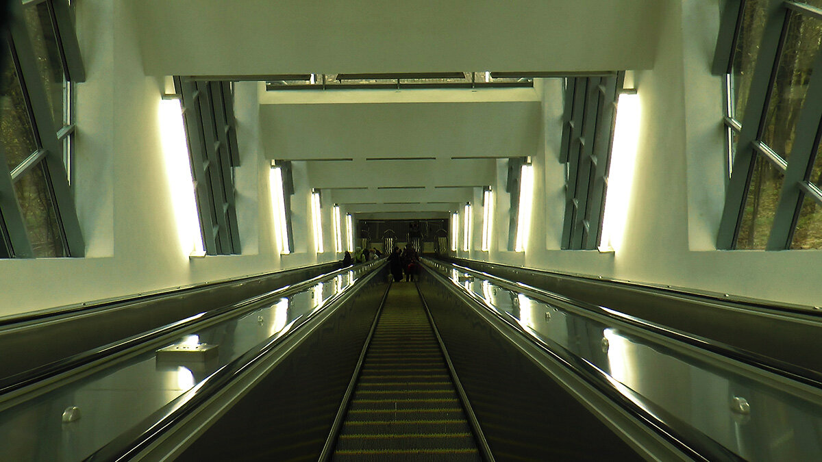 Москва. Воробьёвы горы. - Игорь Олегович Кравченко