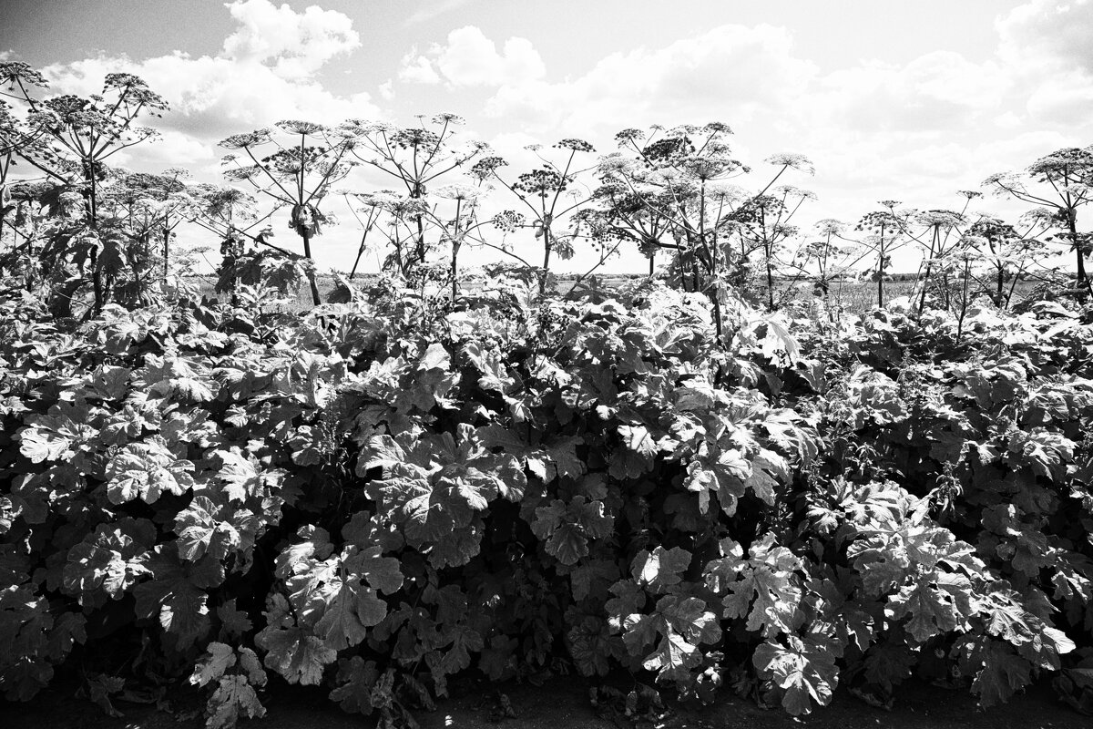 Фотография - Денис Безногов