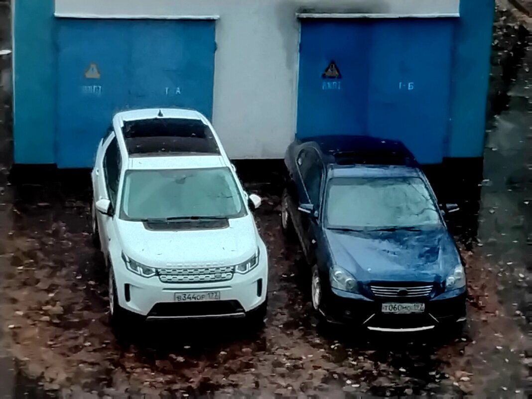 Белый и синий - Дмитрий Никитин Белый и синий - Дмитрий Никитин