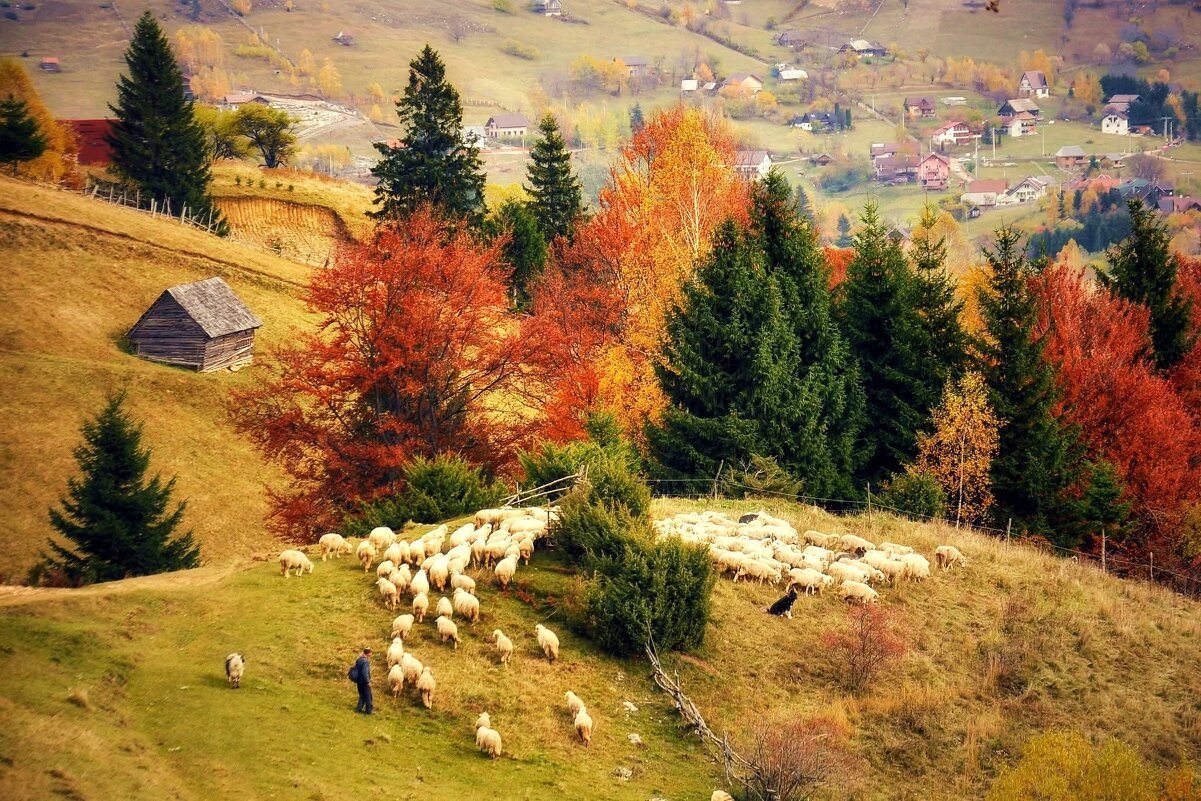 Карпати - Степан Карачко