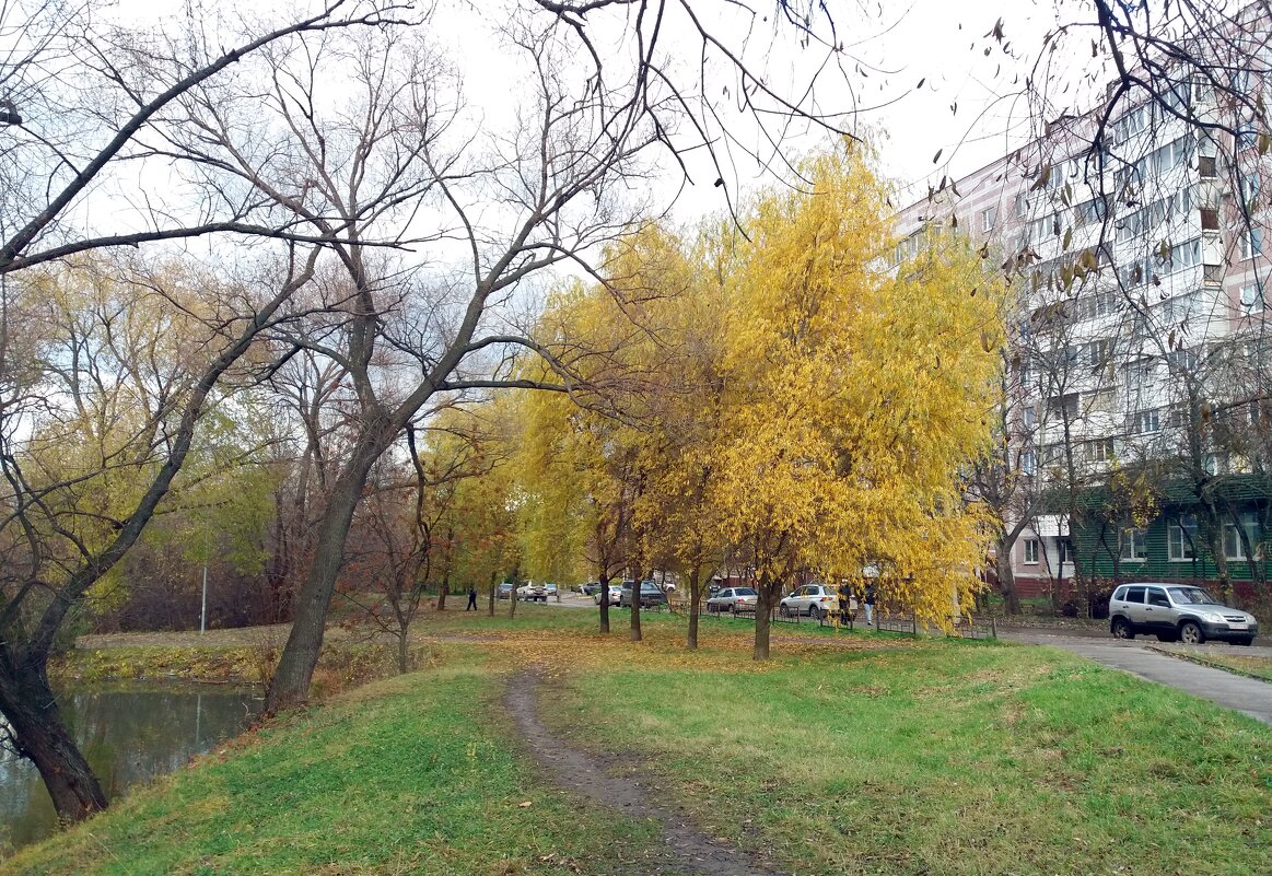 Свет от ив в пасмурный день - Galina Solovova Свет от ив в пасмурный день - Galina Solovova