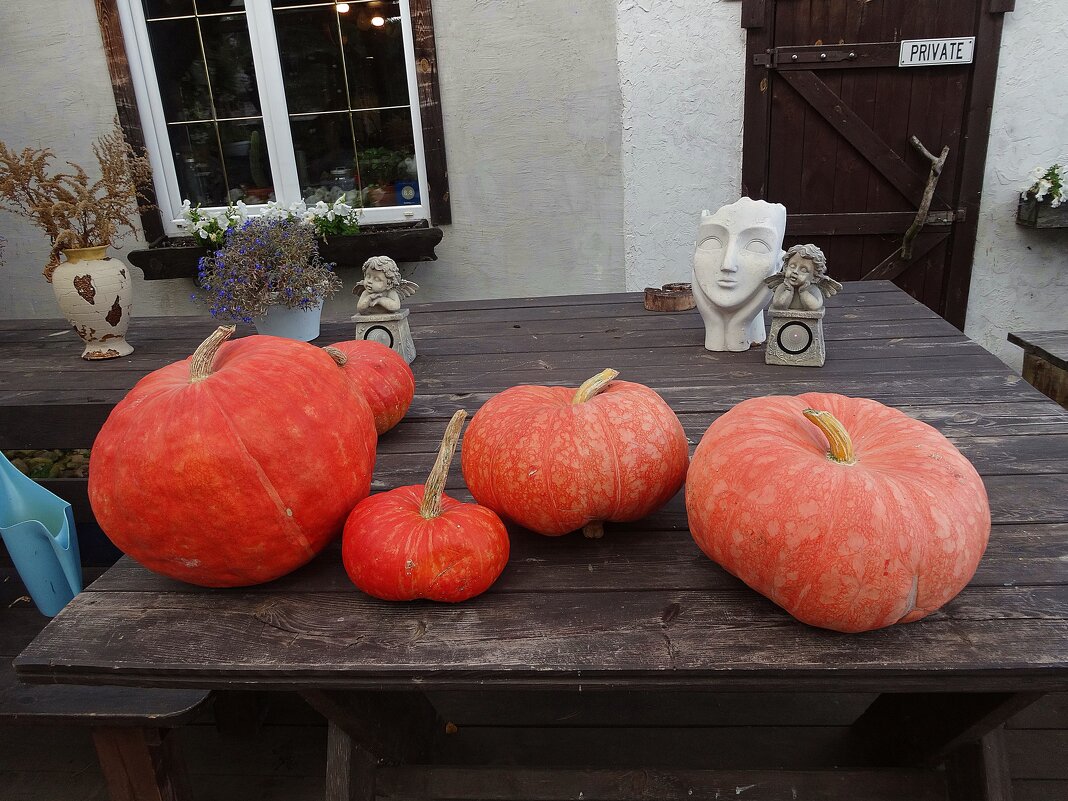 Осенний натюрморт - Лидия Бусурина