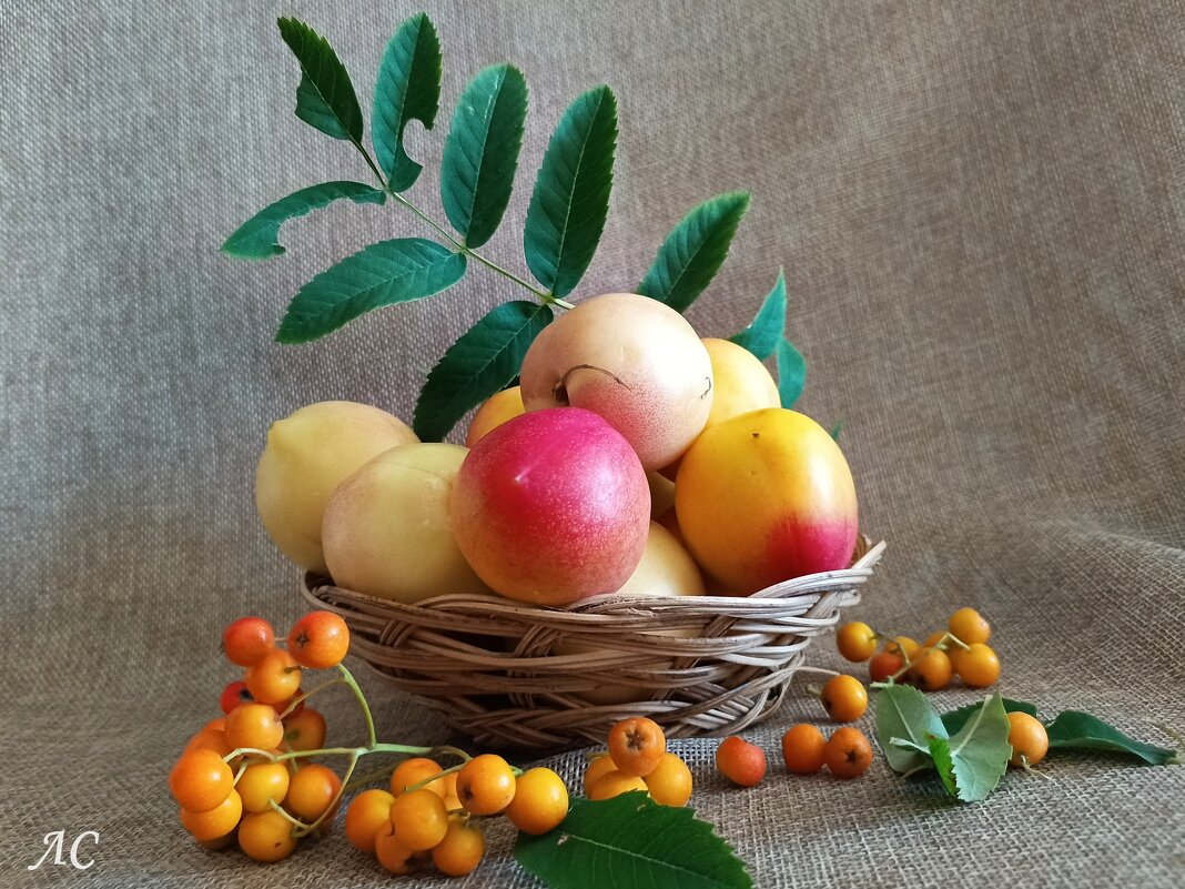 Краски осени - Любовь Сахарова