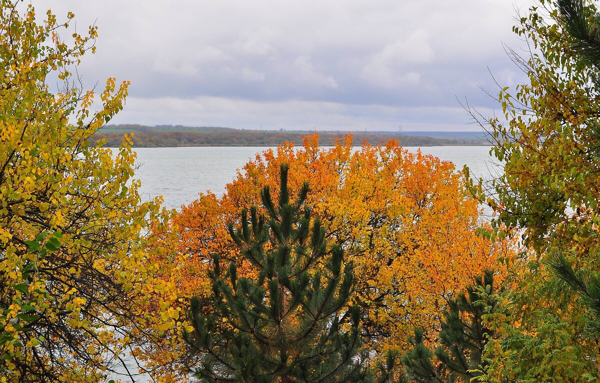 Осень золотая - Vladimir Lisunov