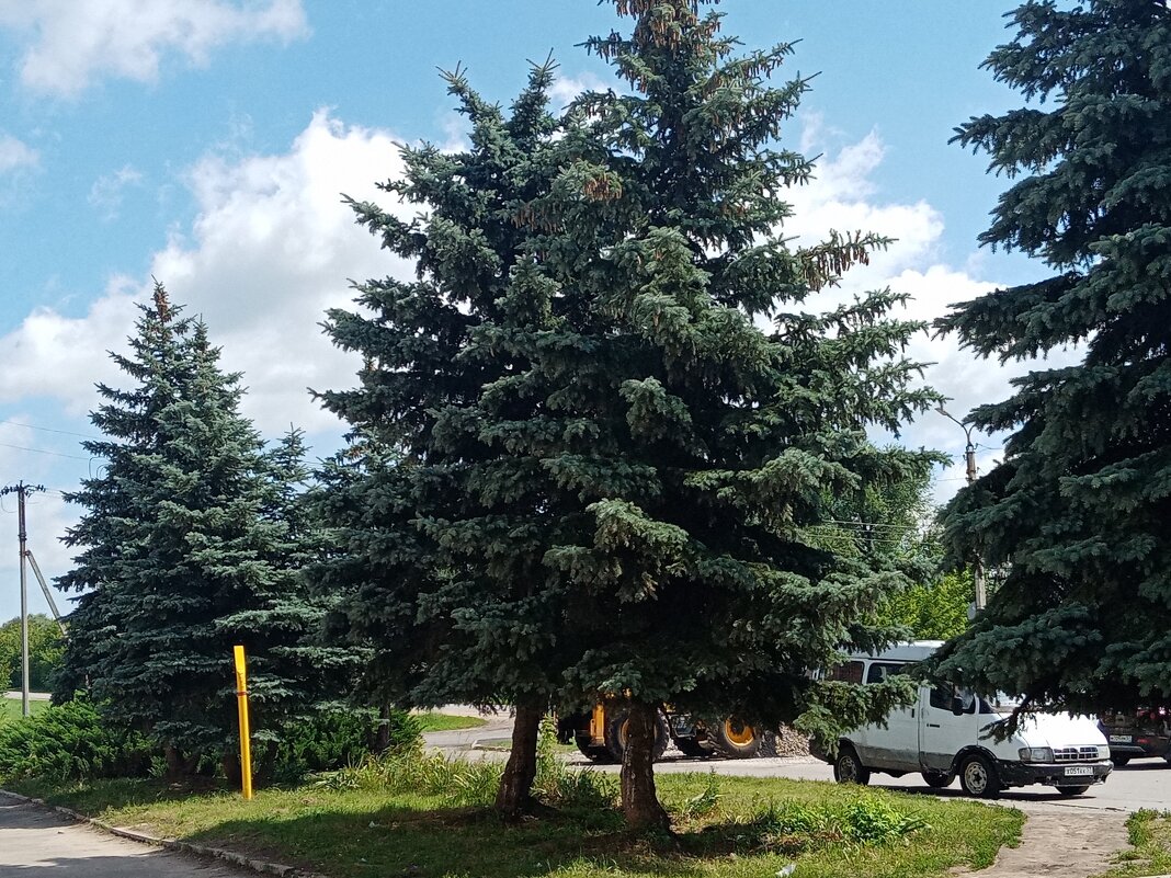 Мценск летом. - Владимир Драгунский