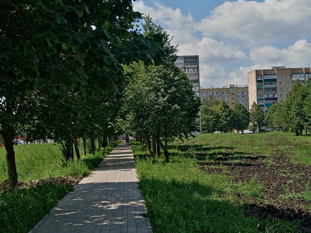 Мценск летом. - Владимир Драгунский