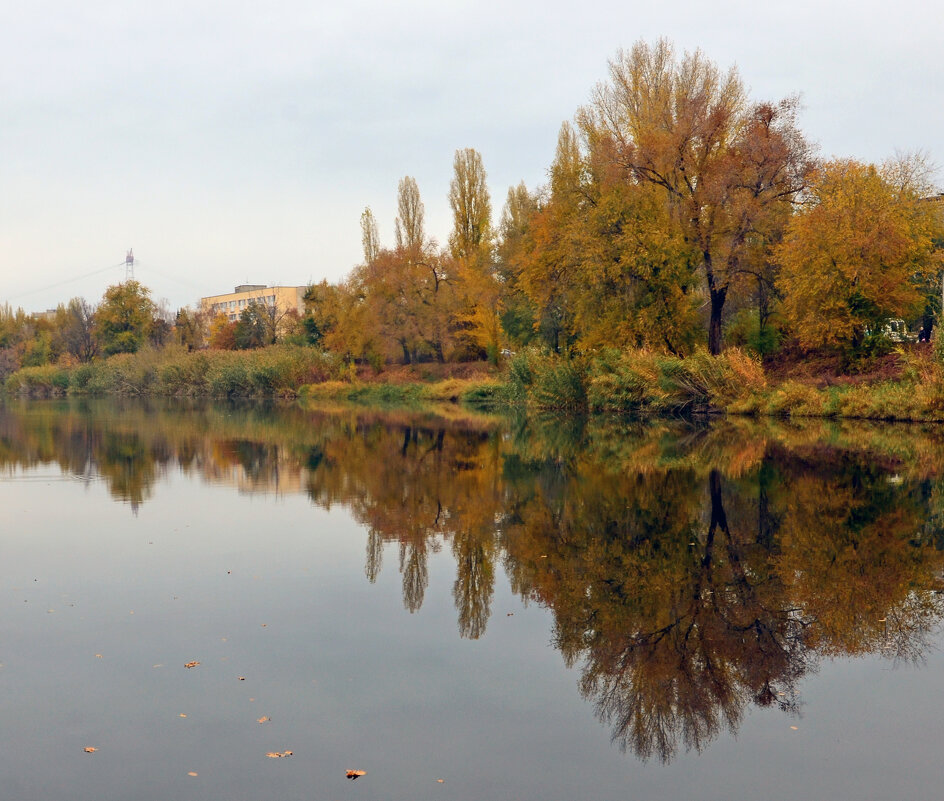 Осенние мотивы - Сергей М 