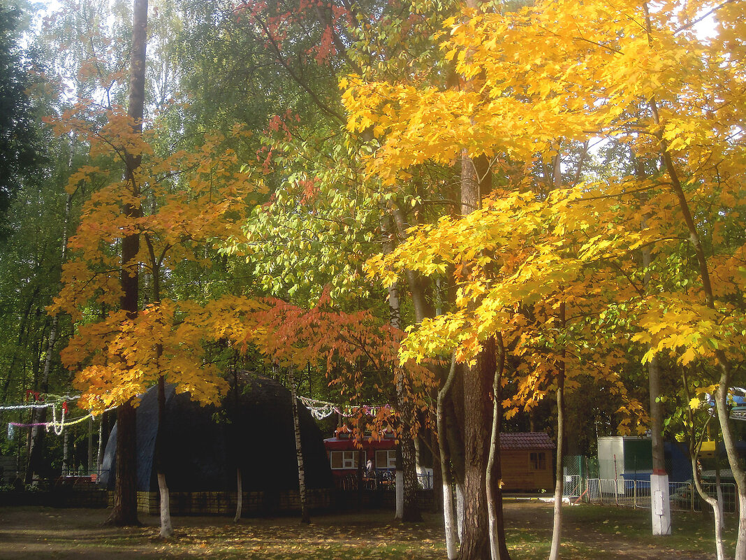 Осень - Елена Семигина