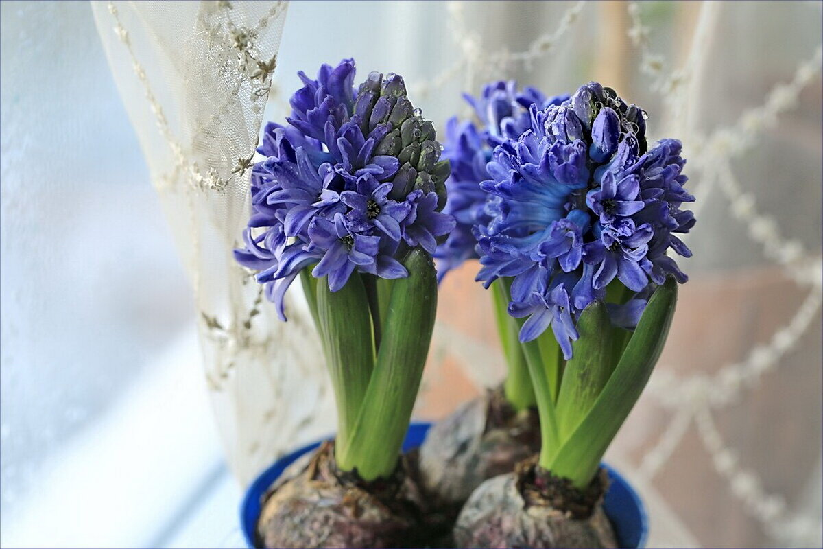 Была весна - ZNatasha -