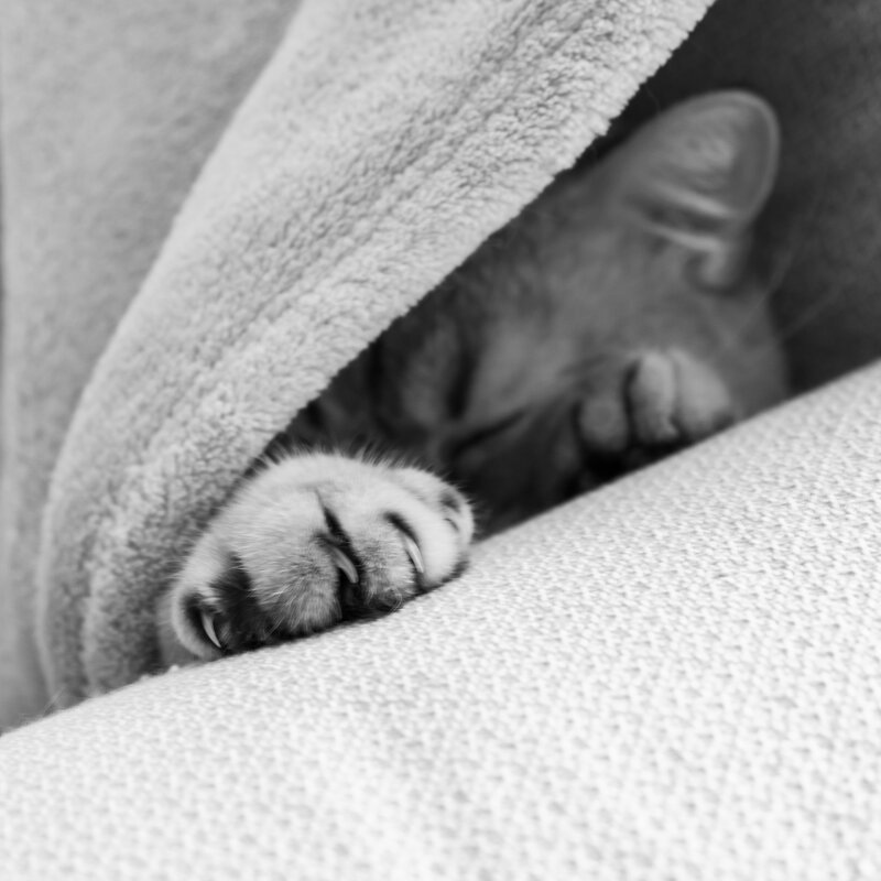 Похолодало - Олег Дорошенко