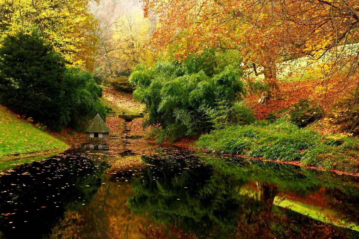 Осенний уголок - Юрий. Шмаков