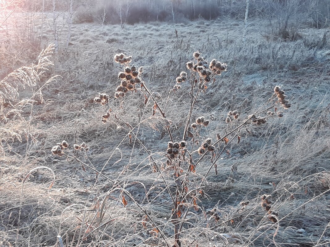 А недавно был октябрь - Галина Минчук
