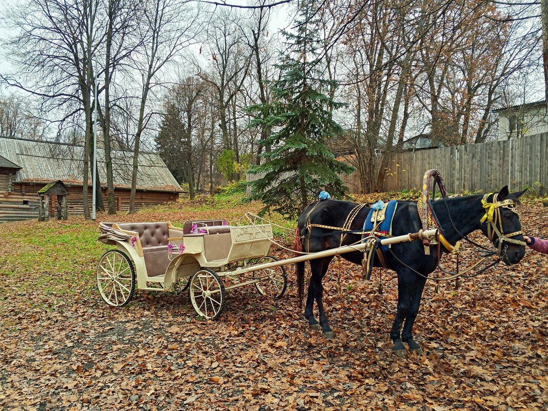 Лошадь с телегой в осеннем парке - Алексей Р.