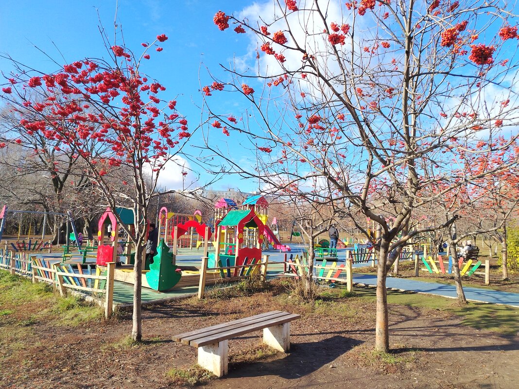 Детская площадка в парке Воронежские озера - Надежда 