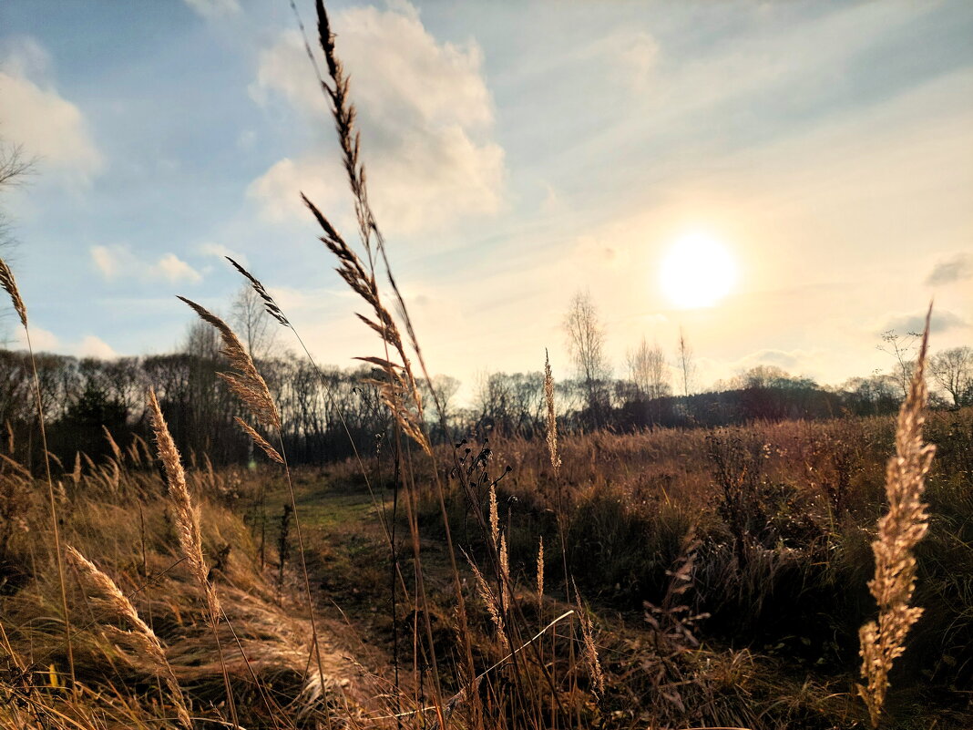 пейзаж - Артём 