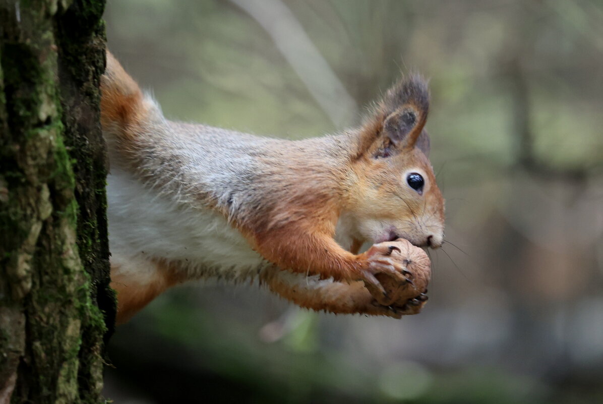 Поймал! - Александр Кондаков