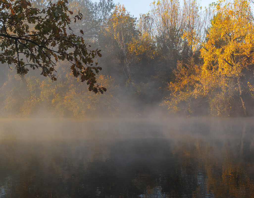 *** - Игорь Протасов