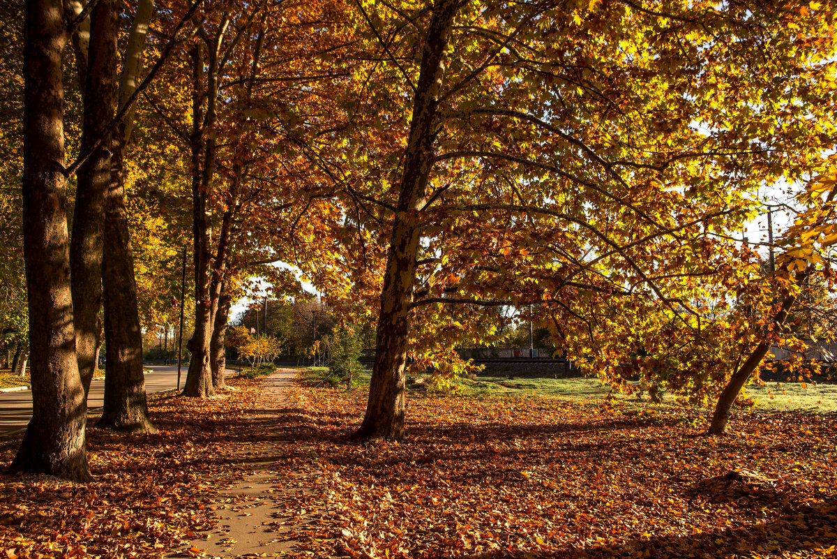 Пестрые краски осени. - Сергей Воротников