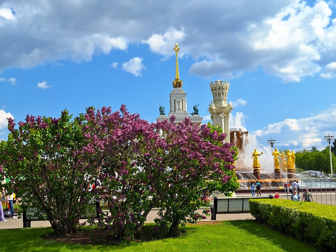 ВДНХ - Наталья 