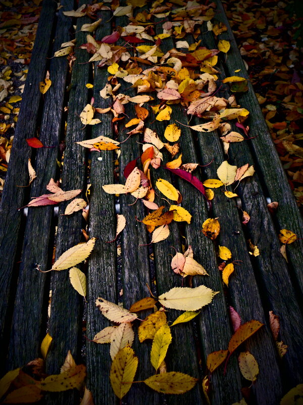 Осень 38 - Алексей Кузнецов