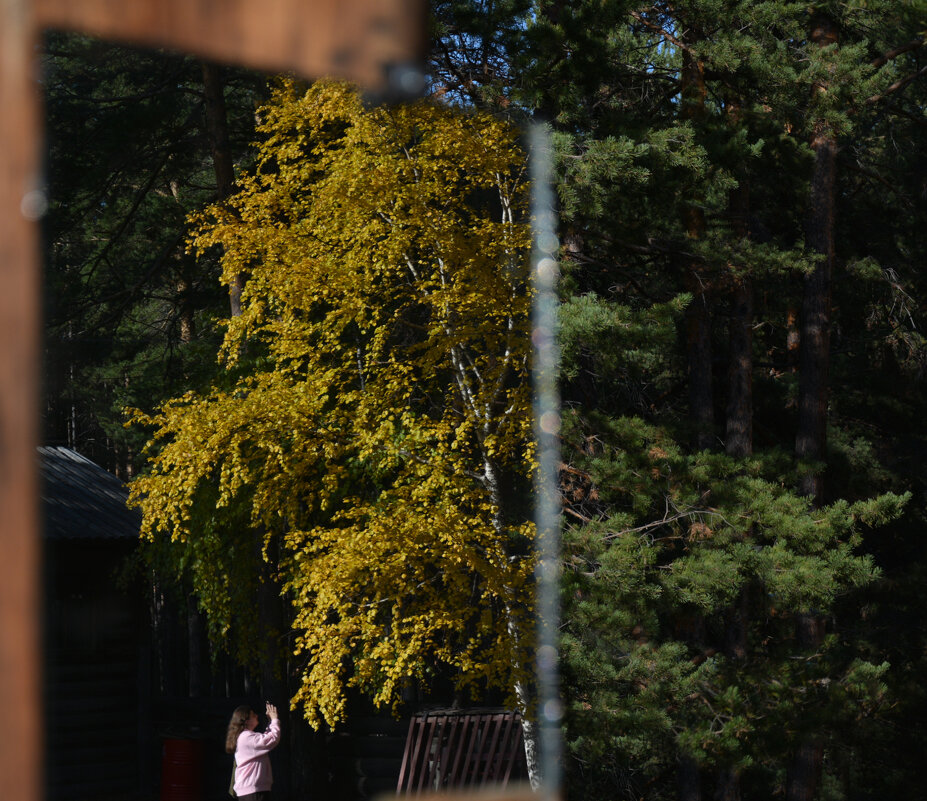 * - Наталья Покацкая