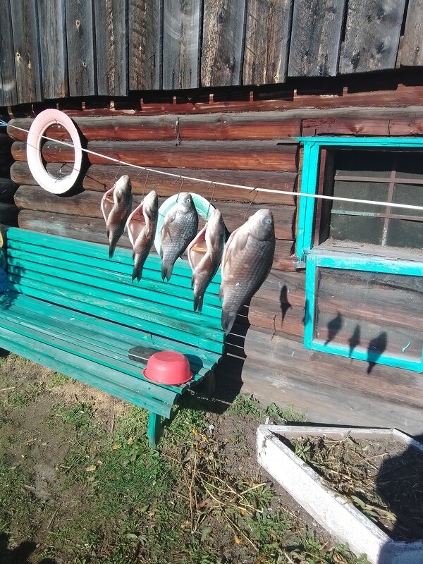 Рыба из моего пруда - Лека Рыба из моего пруда - Лека