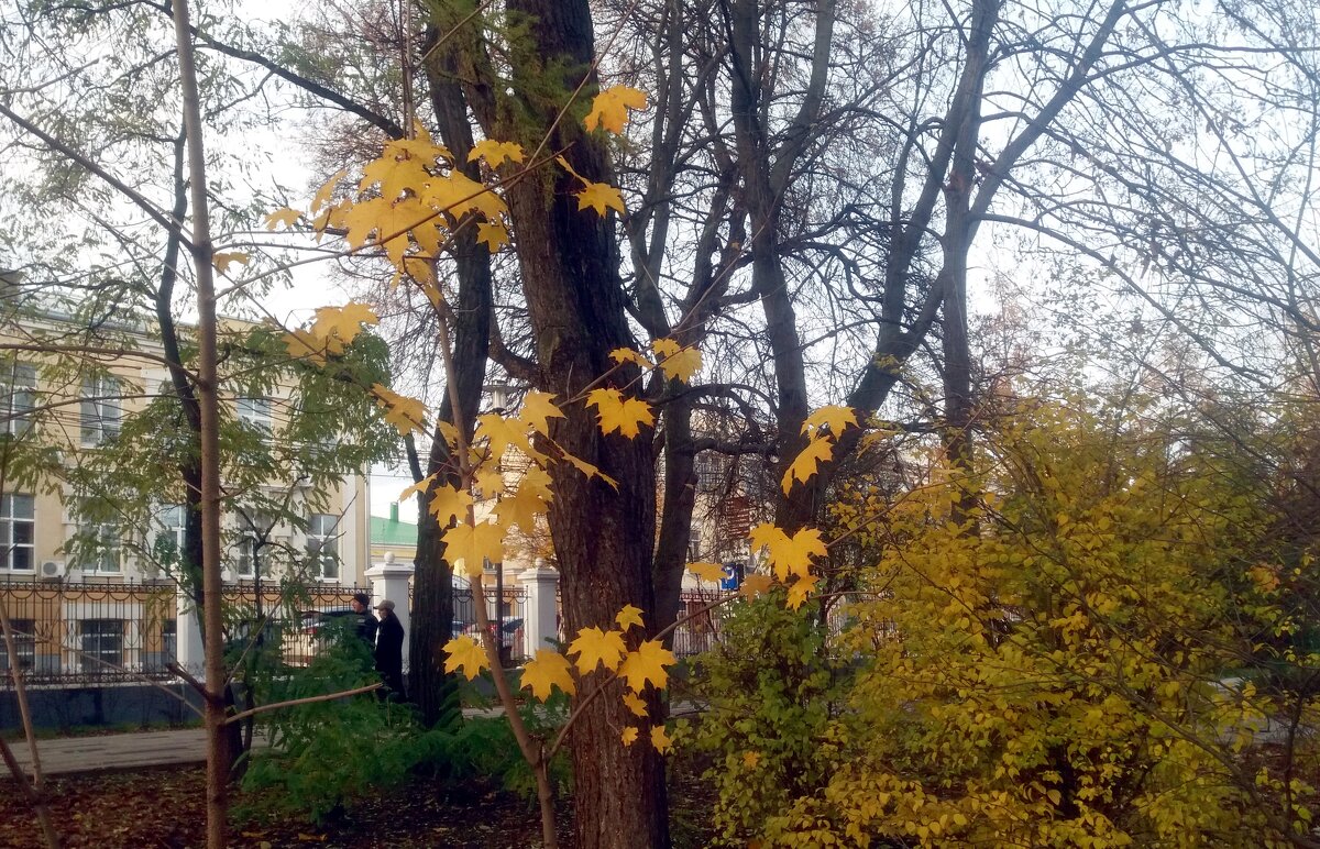 В последний месяц осени - Galina Solovova