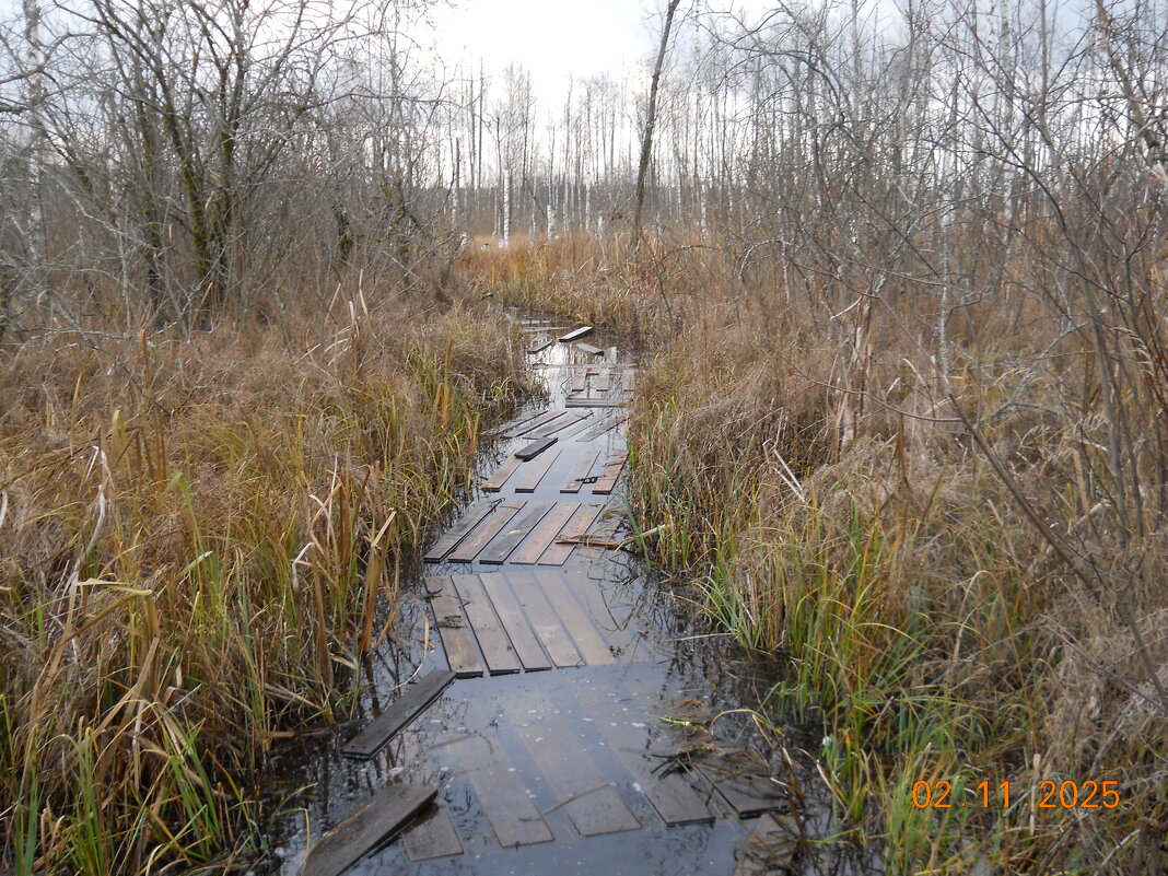 дорога к бездонному озеру - fogmeadowww m