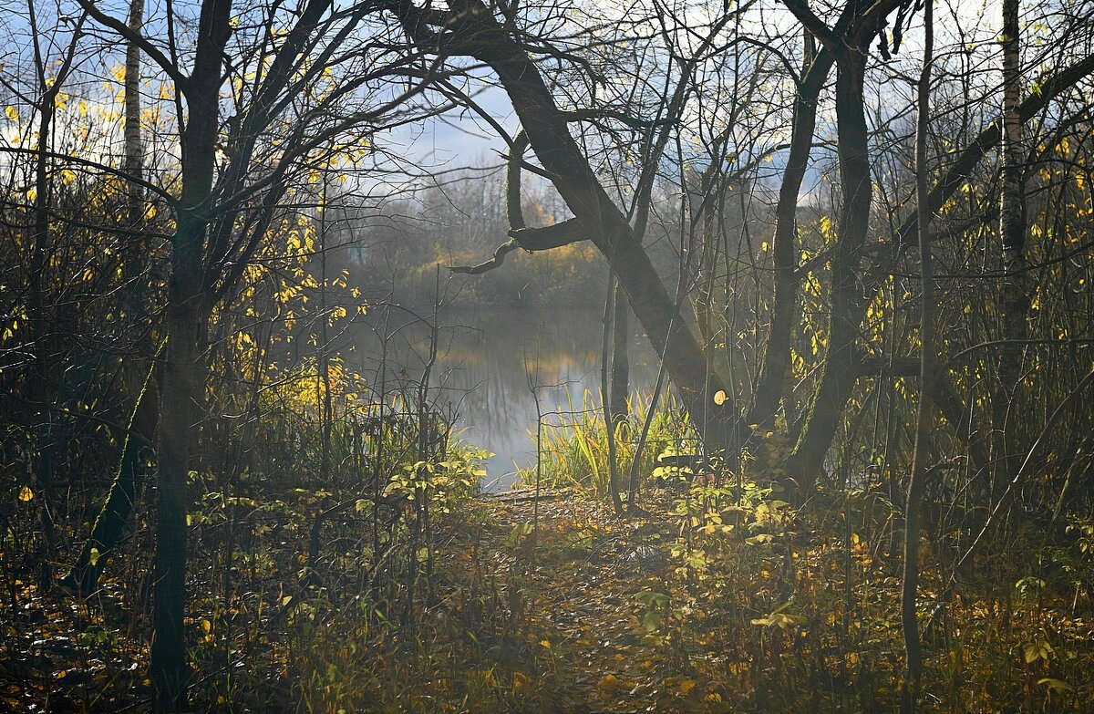 Первый день ноября - Александр Орлов Первый день ноября - Александр Орлов
