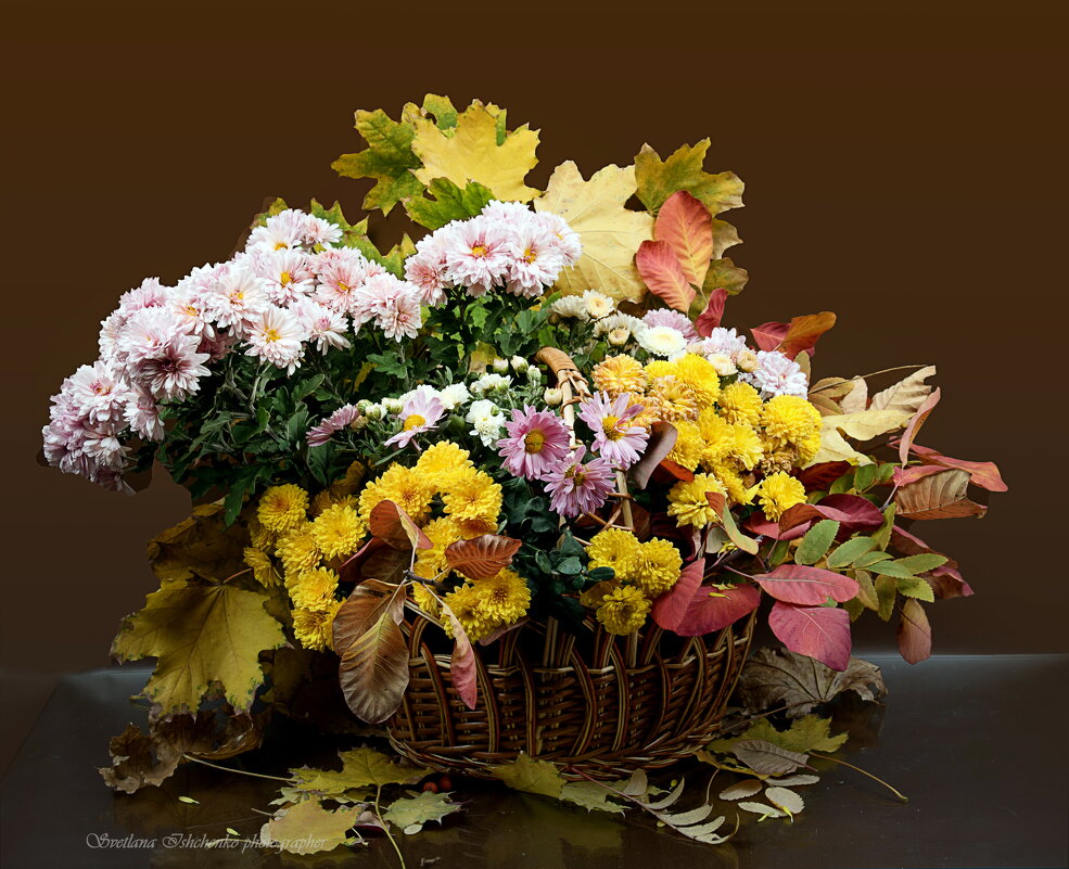 Осенний натюрморт - Светлана Ищенко