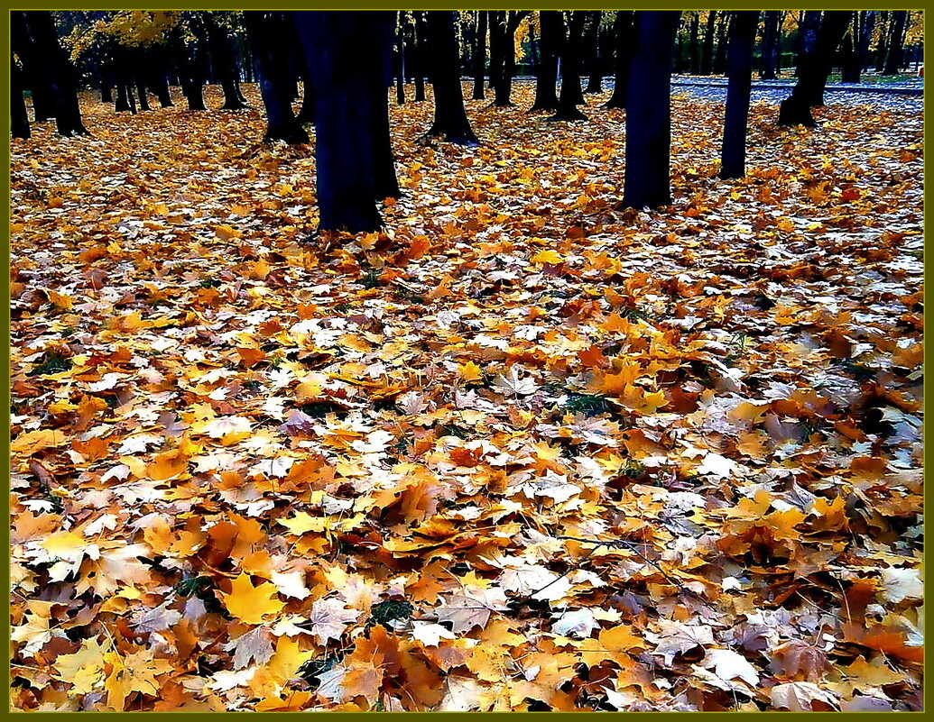 Осень шумит листопадом и плачет дождём - Ольга Довженко