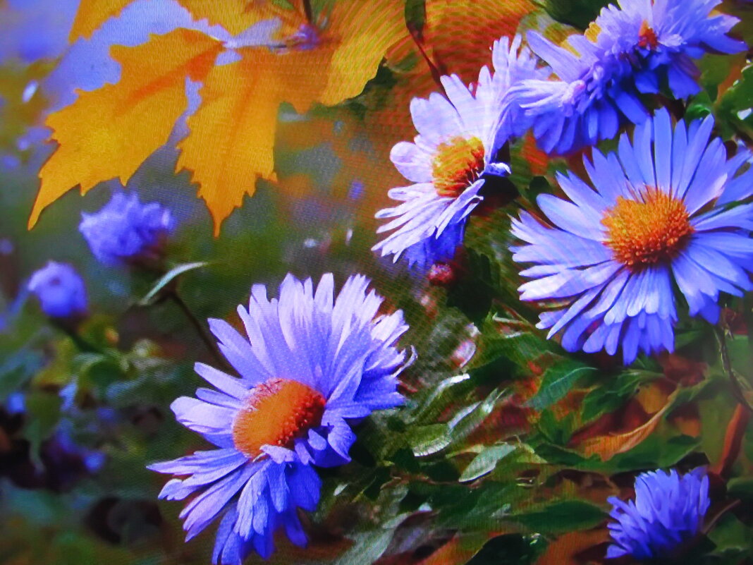 Осенняя красота - Людмила Смородинская