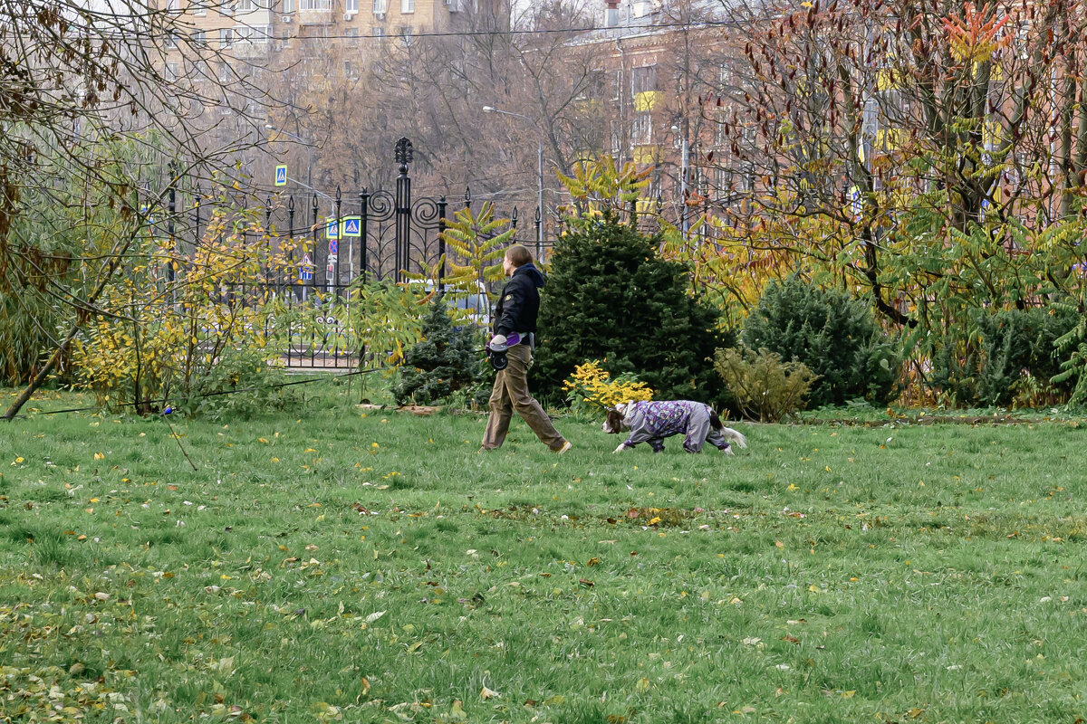 Дама с собачкой - Валерий Пославский