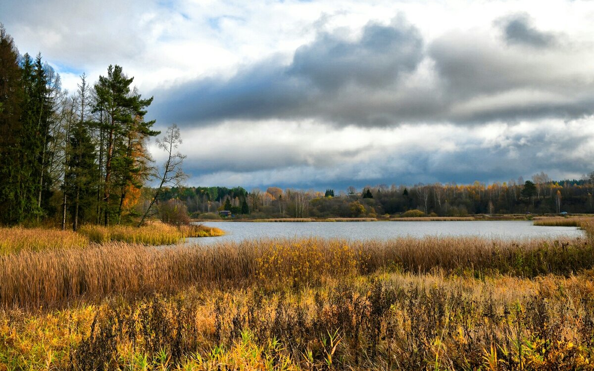 Осенний пейзаж. - Милешкин Владимир Алексеевич 