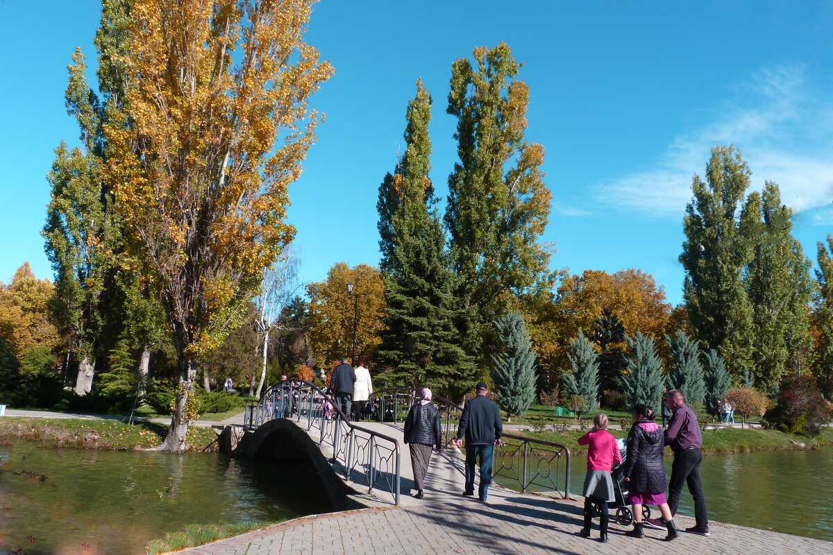 Отдых в парке - Валентин Семчишин
