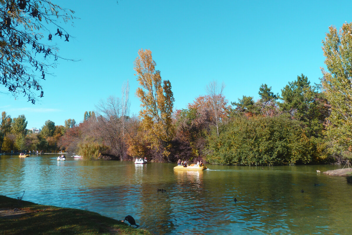 Пейзажи  Гагаринского парка - Валентин Семчишин